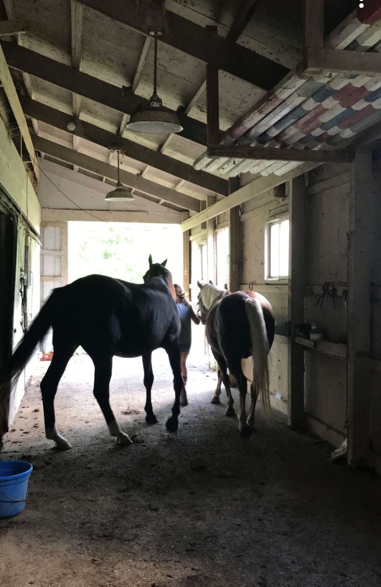 Two horses led down the moody barn aisle toward the light.