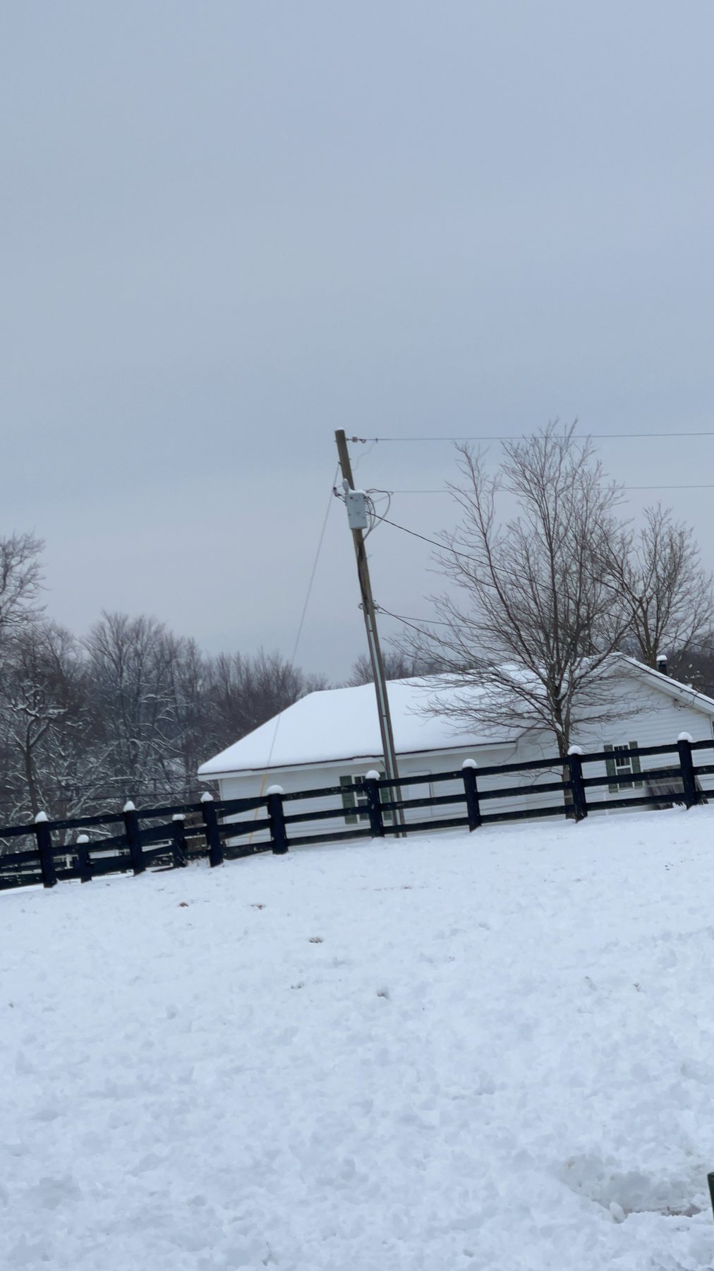 The empty snow-covered farm lane, black fence posts marching into the white.