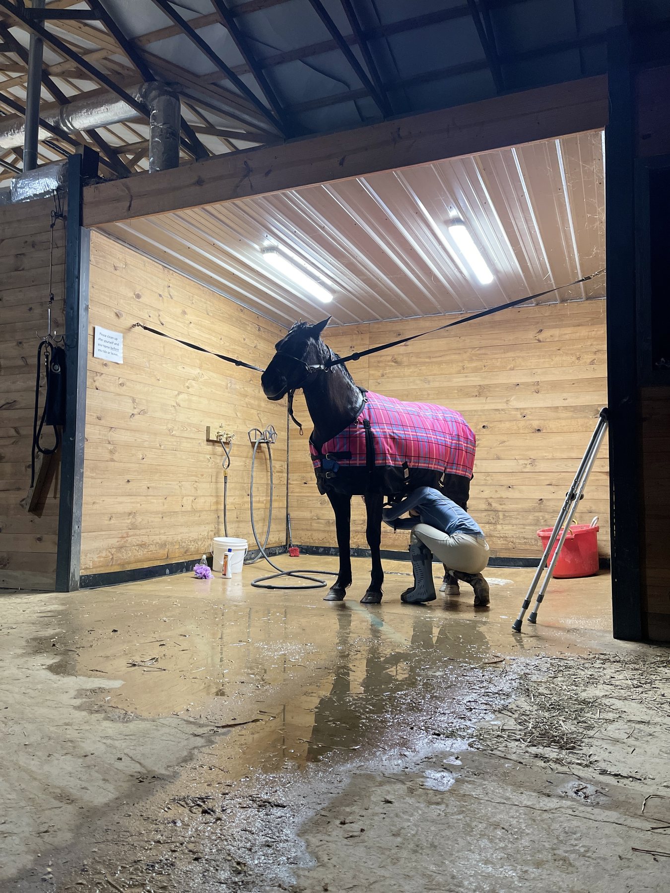 A blanketed black horse getting hosed off in the wash rack.