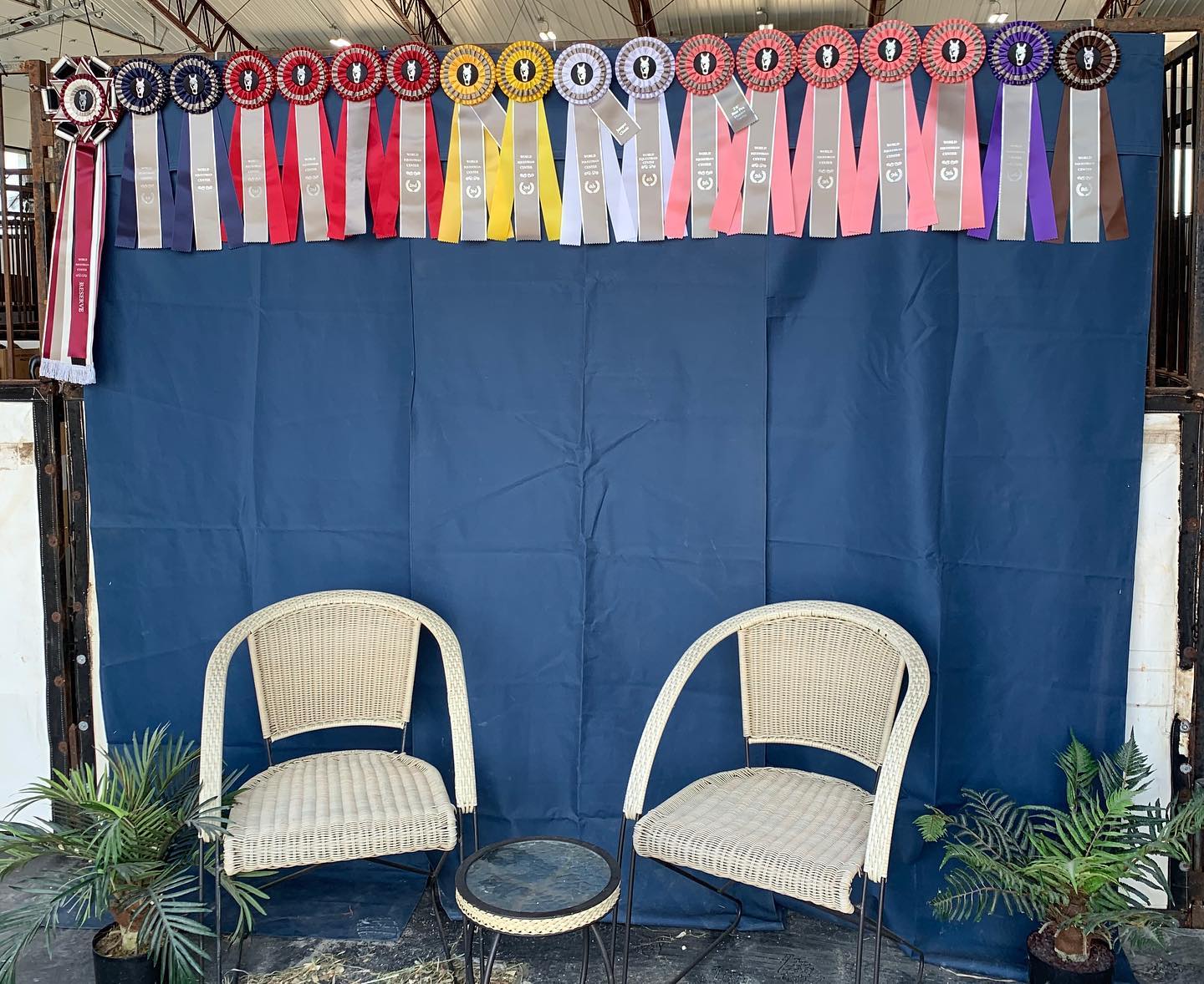 A ribbon wall display at the World Equestrian Center.