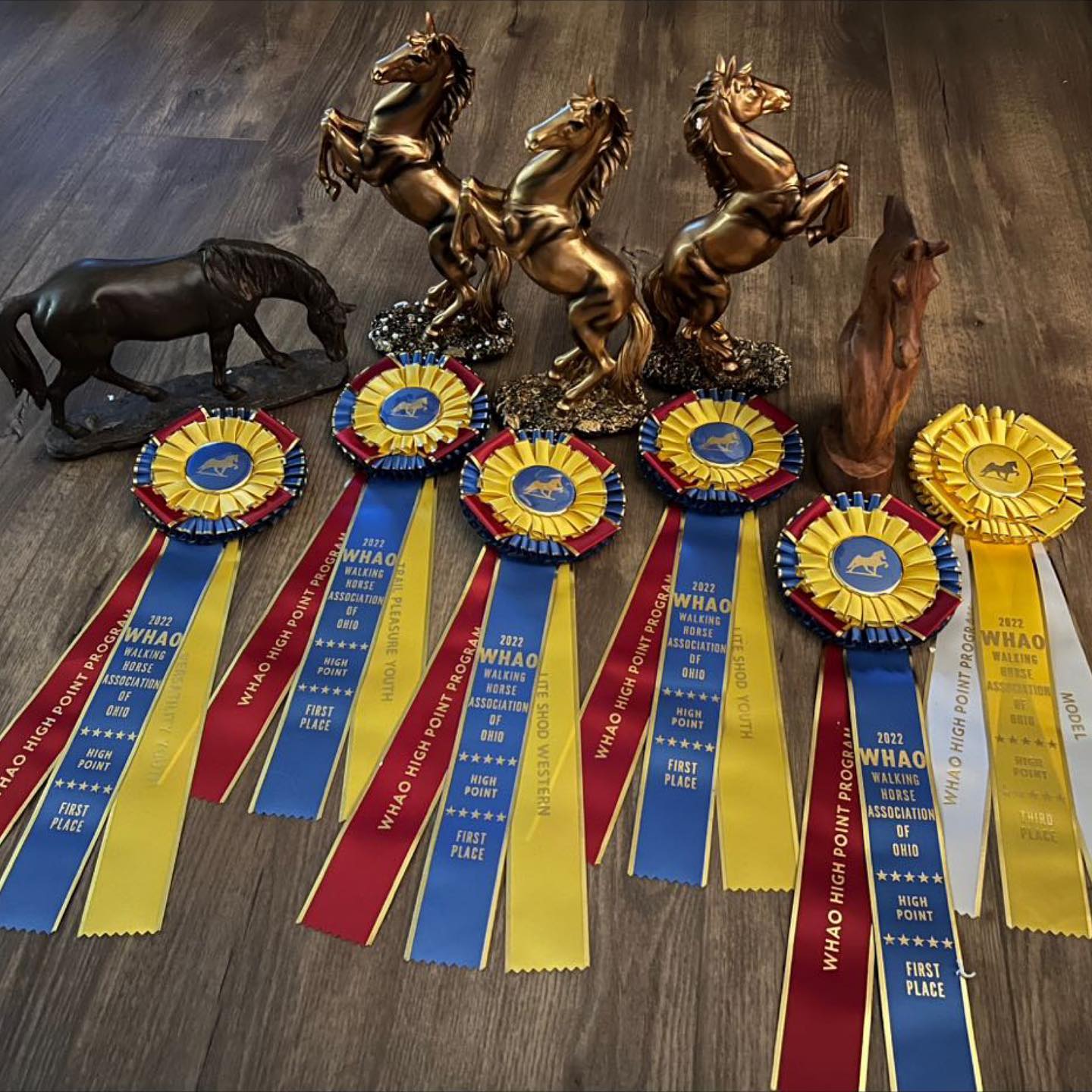 The 2022 WHAO high-point trophies and ribbons arranged on the floor.