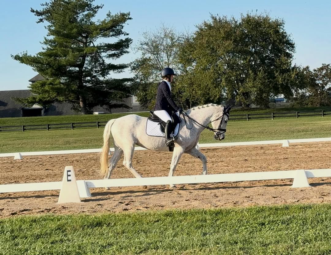 A rider in show attire trots Blizzard Beach WC, a dappled gray, down the rail of an outdoor dressage arena.