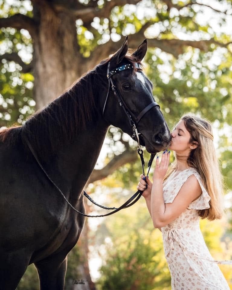 Princess Poppy gallery image