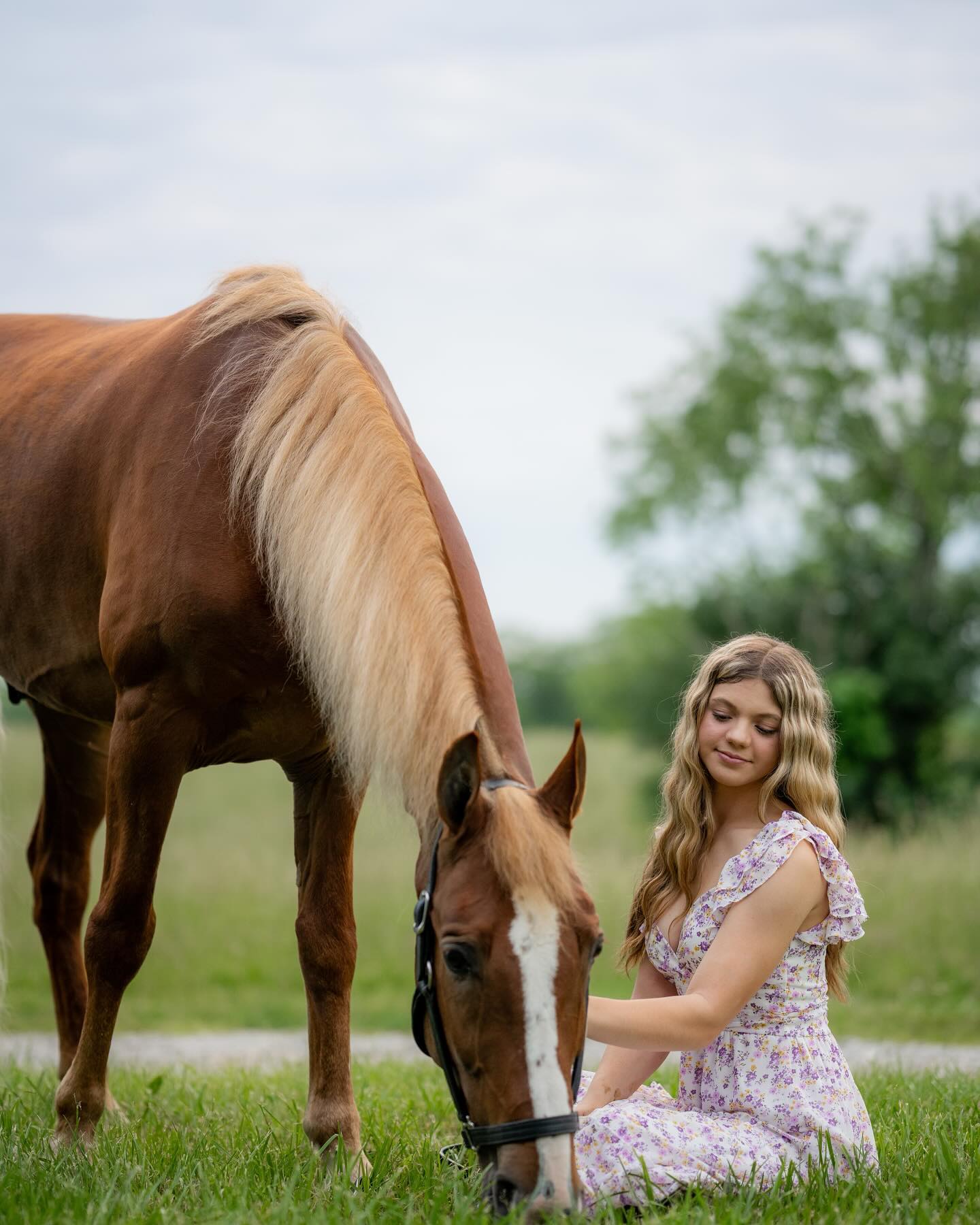 Sonny, a flaxen-maned chestnut, grazes beside a young rider seated in the grass in a floral dress.