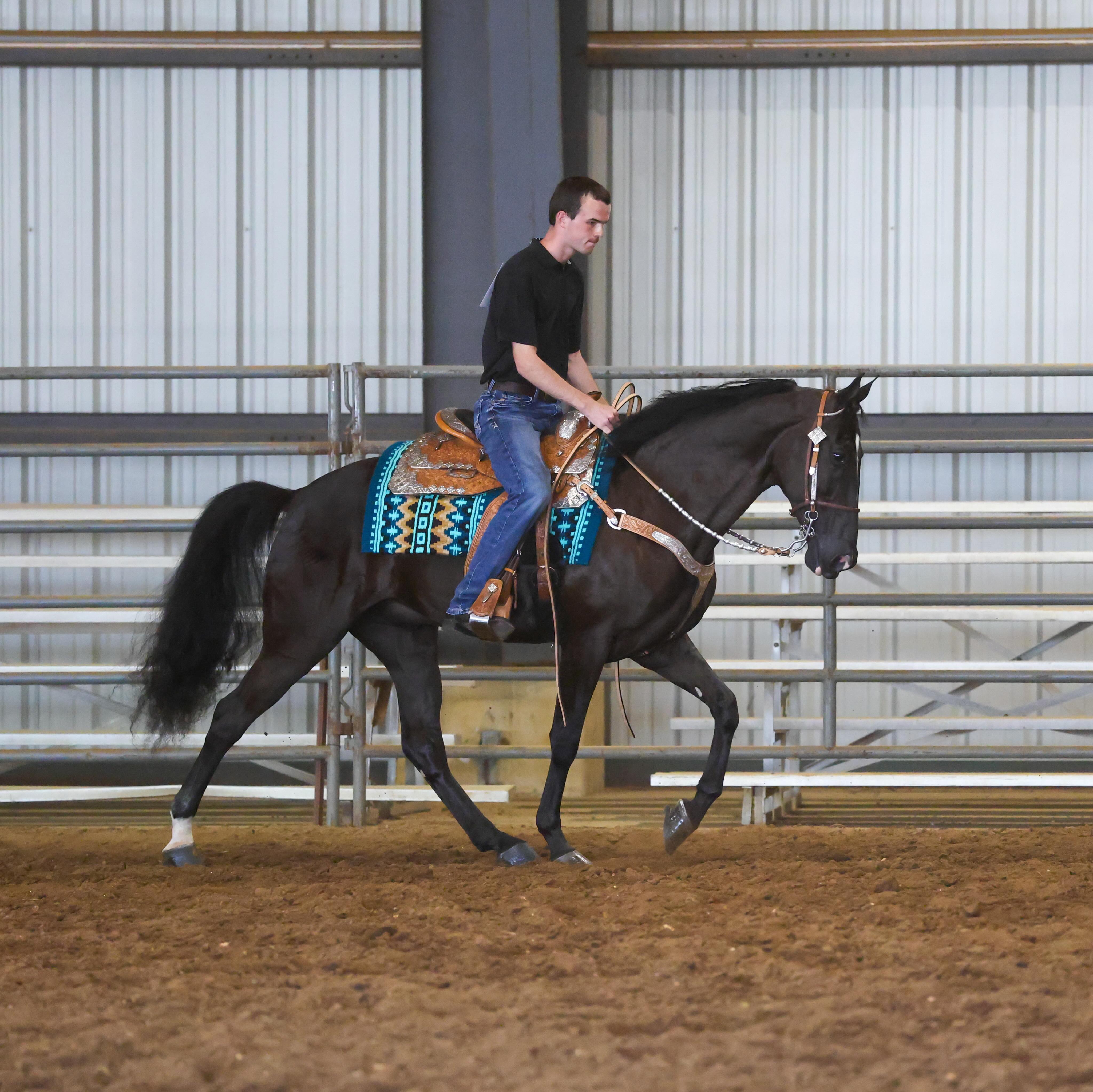 Kaleb riding John Wick in western tack with a teal pad in a professional indoor arena shot.