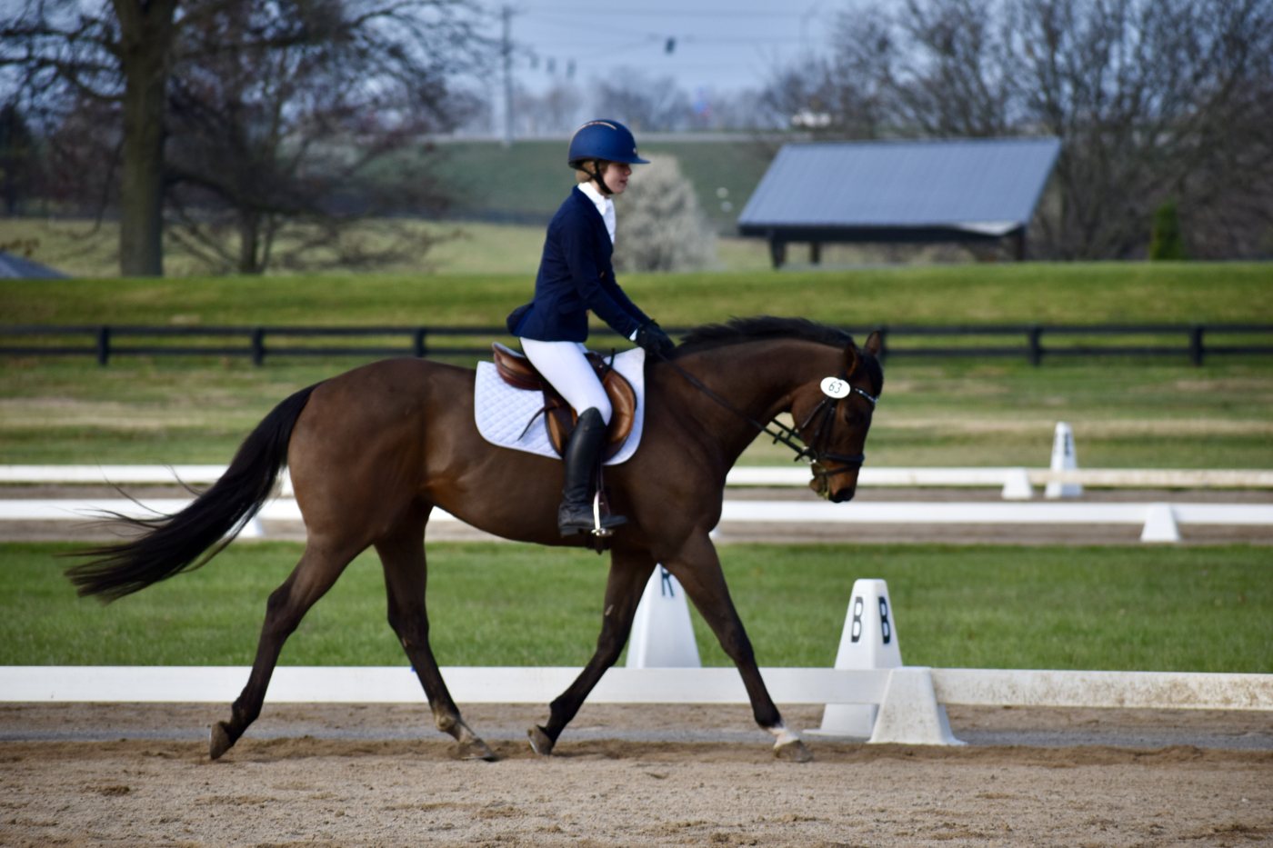 Kennie (Kentucky Gentleman), a bay Thoroughbred, working a dressage test with Rylee Eilerman in the saddle.