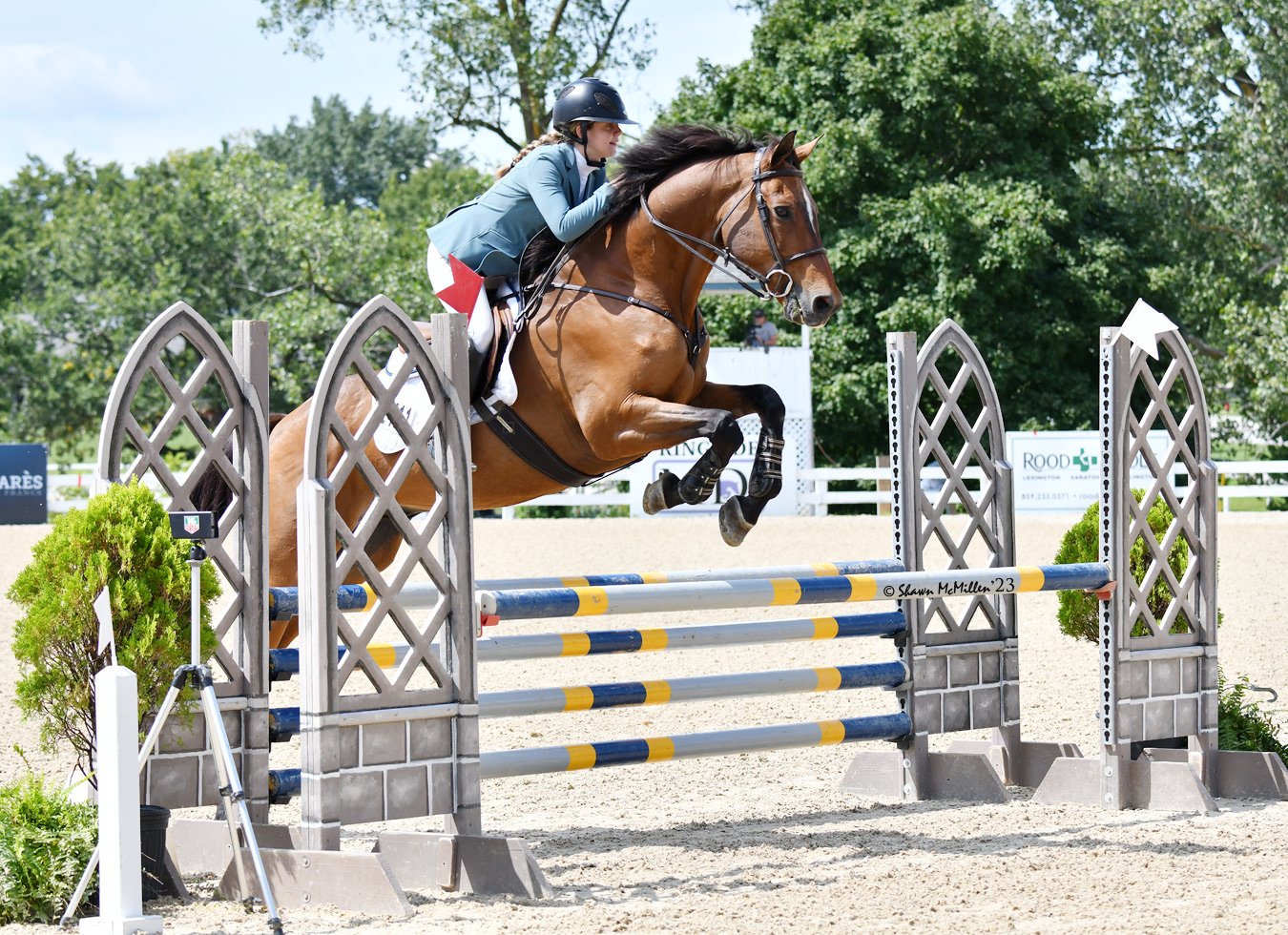 Arthur (Waterfall des Negres) folding neatly over a blue-and-gold oxer at the Kentucky Horse Park. Photo: Shawn McMillen Photography.