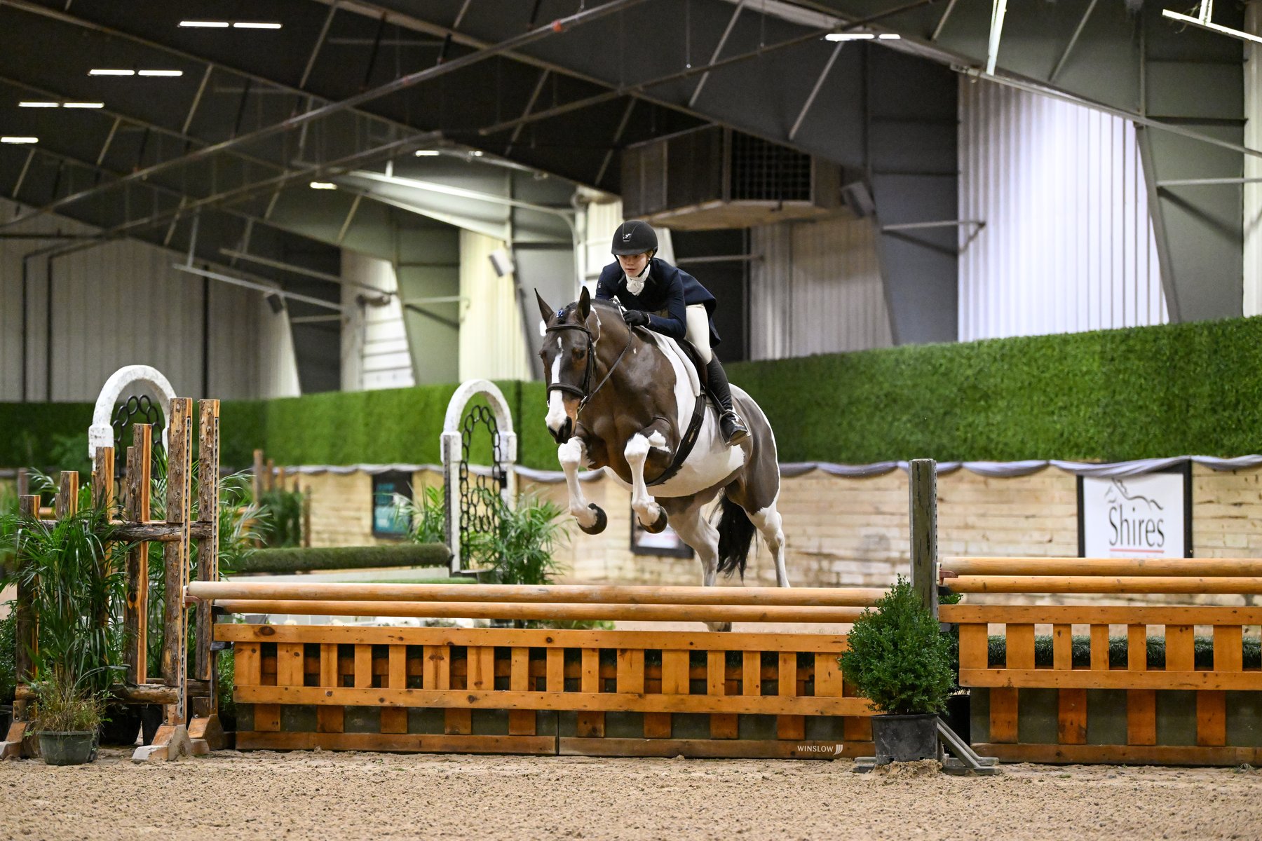 SiSi tucking her knees over an indoor hunter fence. Photo: Winslow Photography.