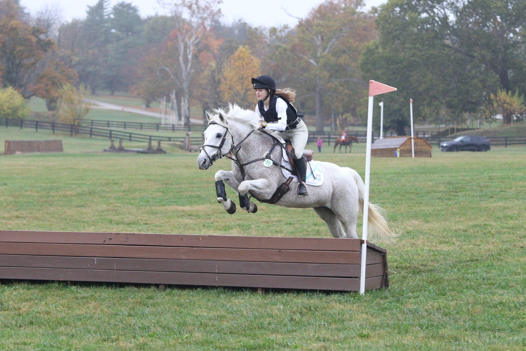 Snowflake, a fleabitten gray mare, jumping a cross-country table with Rylee in the irons on a misty autumn course.