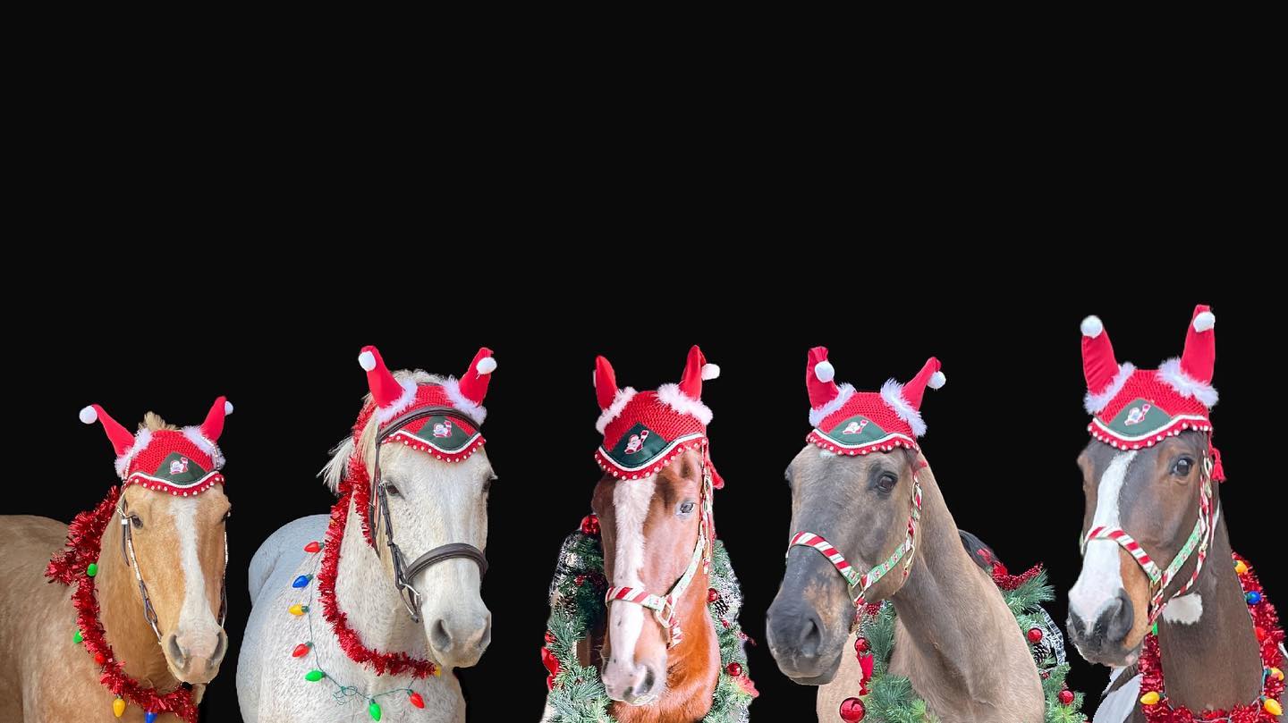 A composite of five barn horse heads in Santa bonnets on a black background, including Carrie Virginia, Snowflake, Sonny, and SiSi.