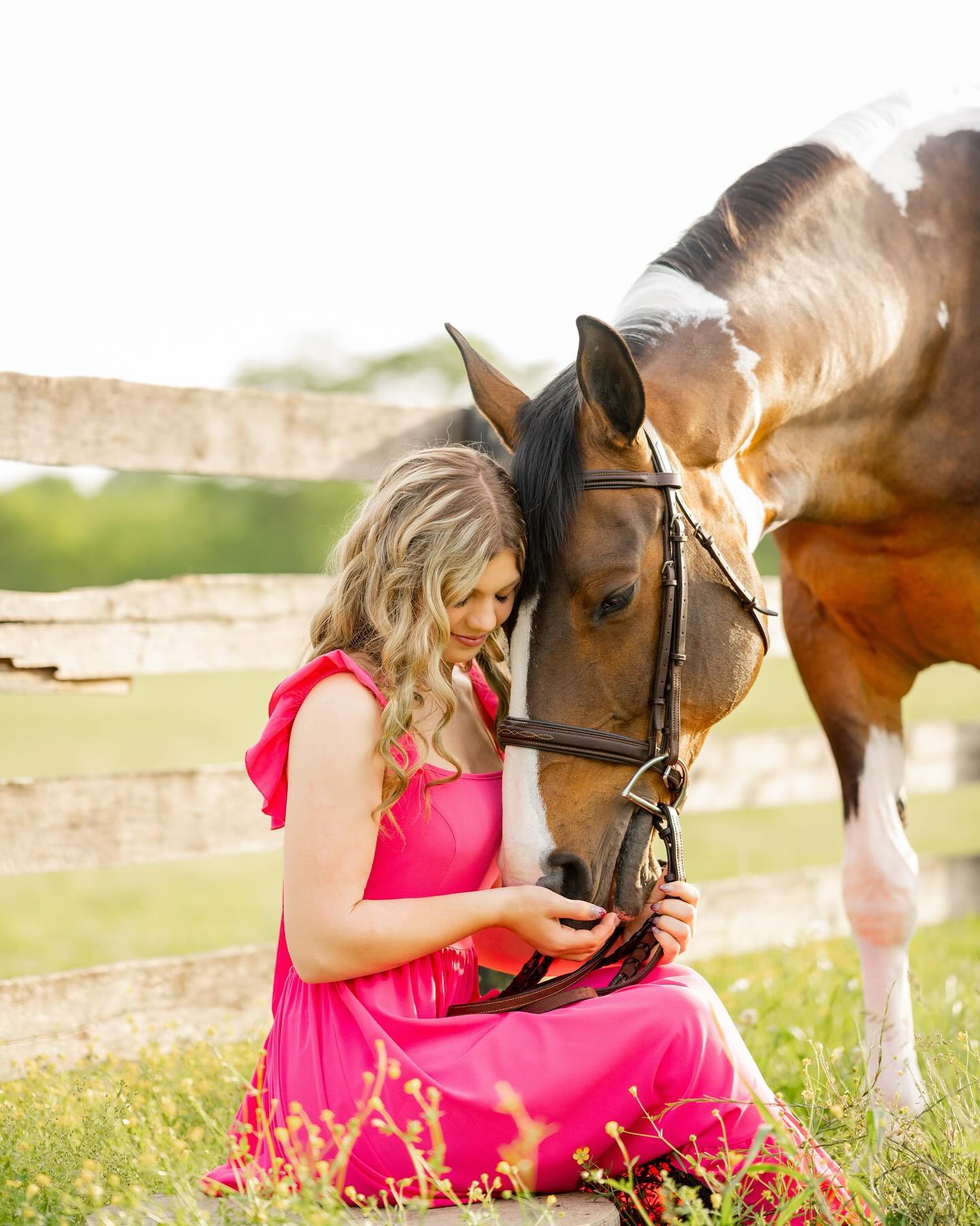 A young rider in a pink dress kneels cheek-to-cheek with SiSi, a bay-and-white pinto mare, beside a pasture fence.