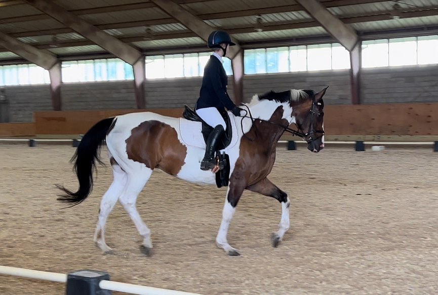 Rylee schooling SiSi under saddle in the indoor arena.