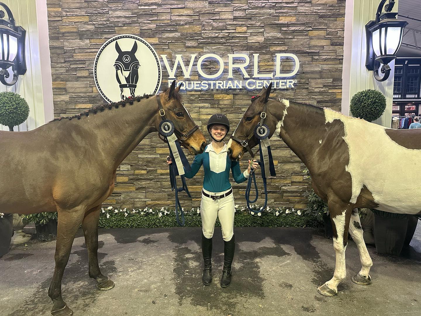 Rylee between two ribbon-winning horses, SiSi and a braided bay hunter, before the World Equestrian Center backdrop.