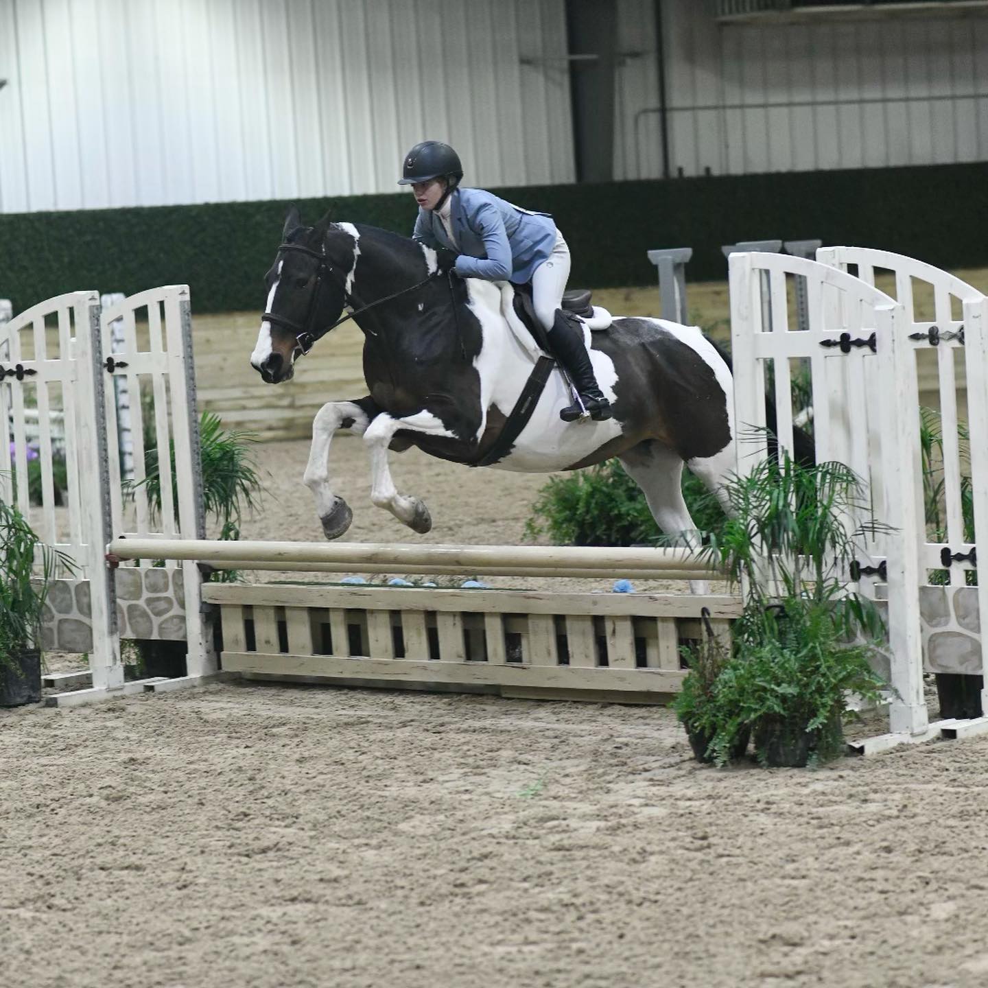 Rylee and SiSi in sharp form over a white gate jump.