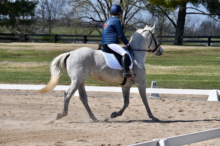Rylee and Snowflake in an early-spring dressage school, the gray mare's flaxen tail flying.