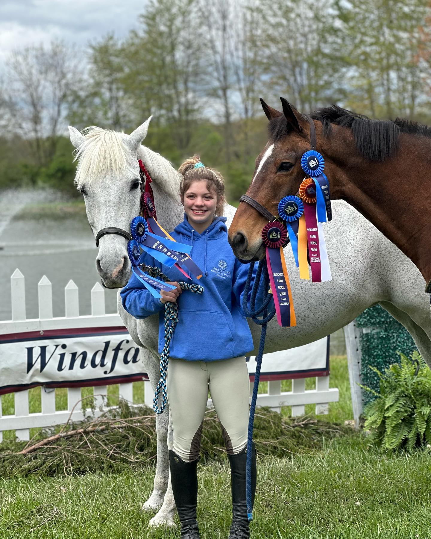 Rylee in her 4-H hoodie holding Snowflake and a bay roan pony loaded with Windfall Farm Show champion ribbons.