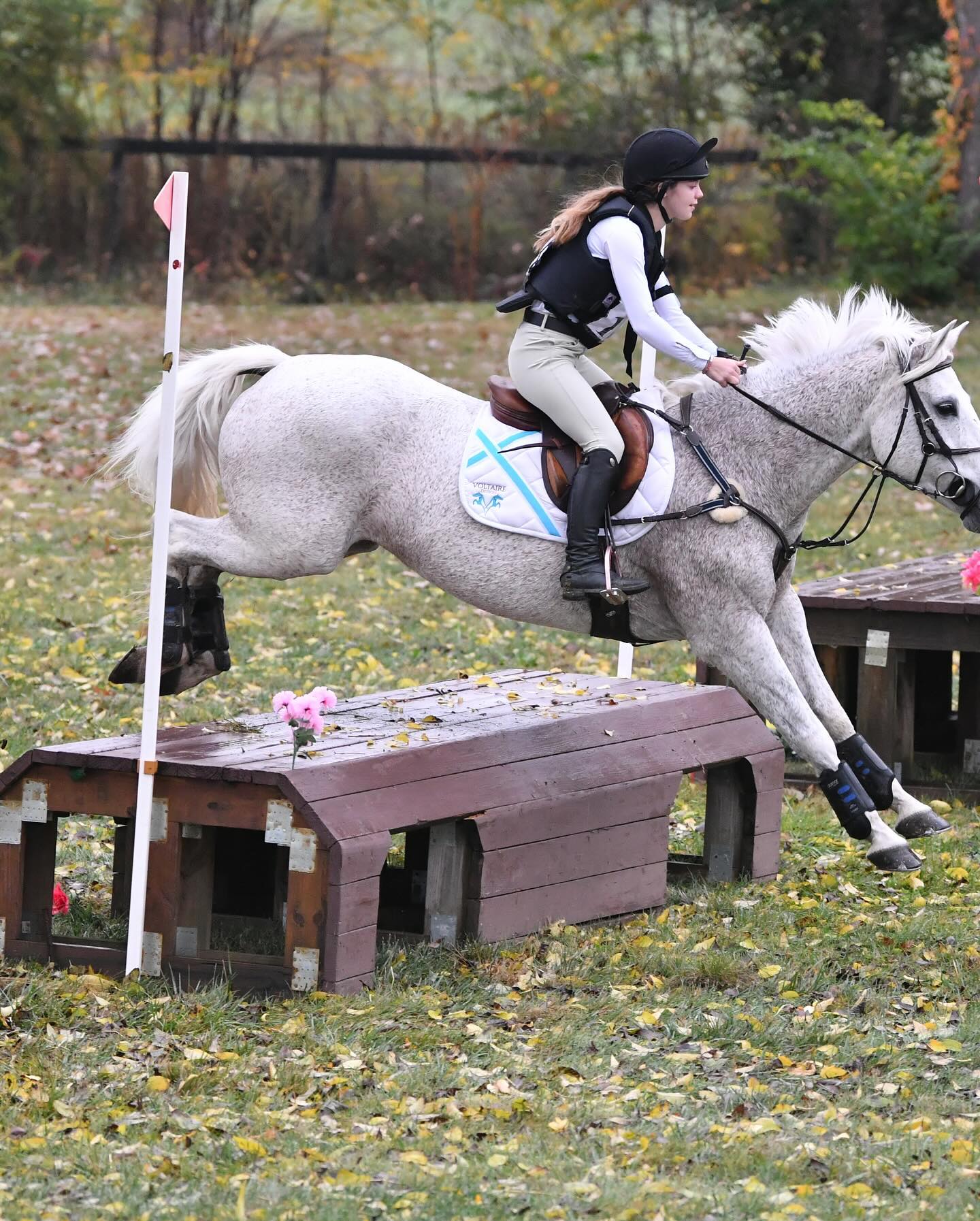 Rylee and Snowflake clearing a cross-country bench jump.