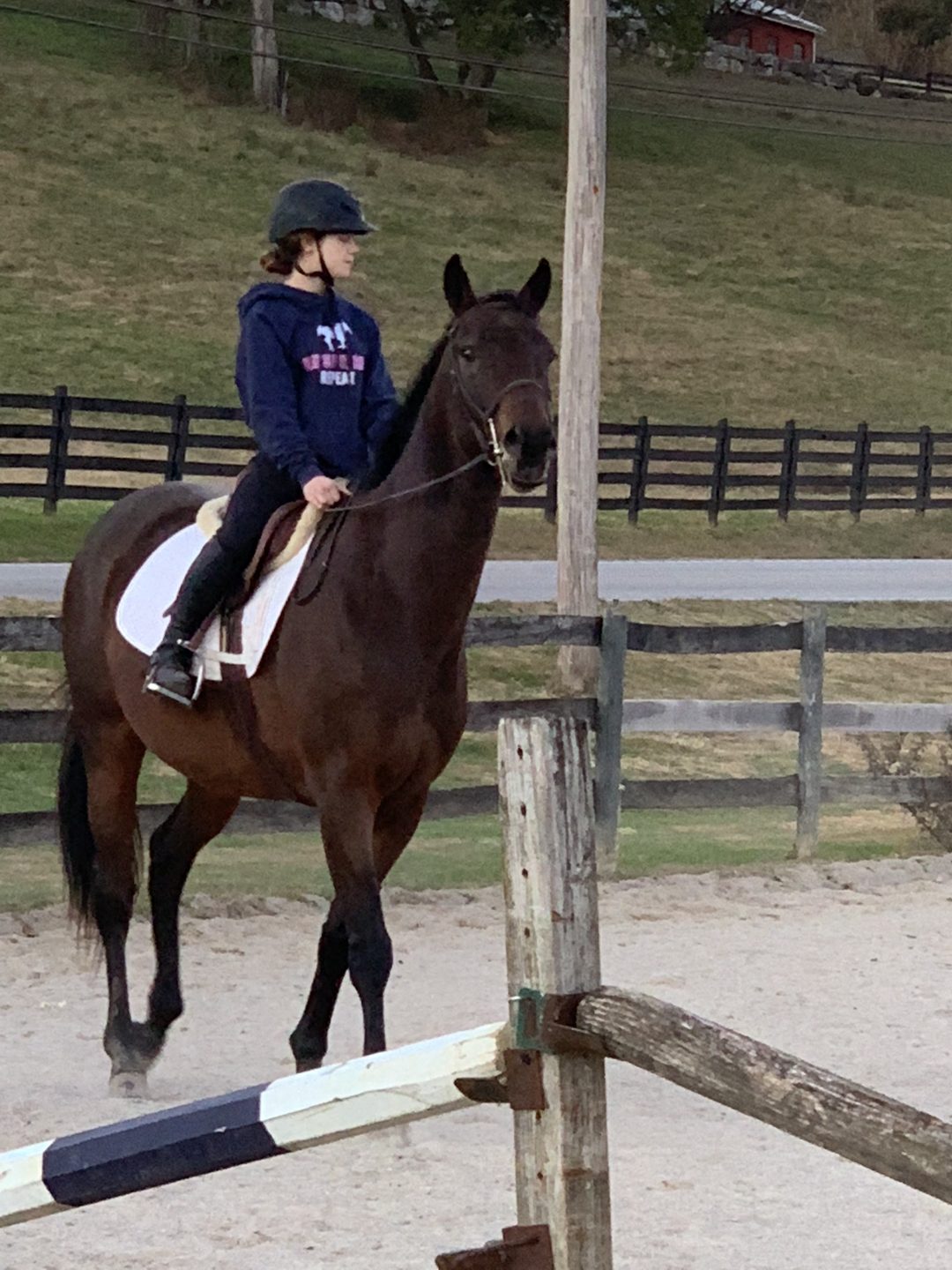 Photo shared by Rylee
