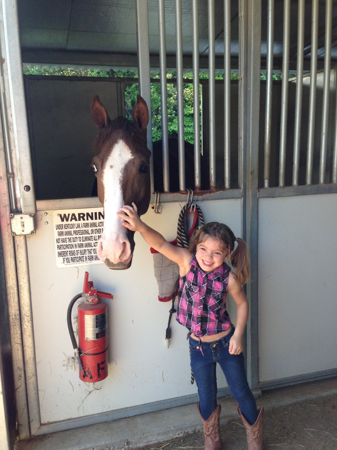 A grinning young Rylee petting a blazed chestnut over its stall door.