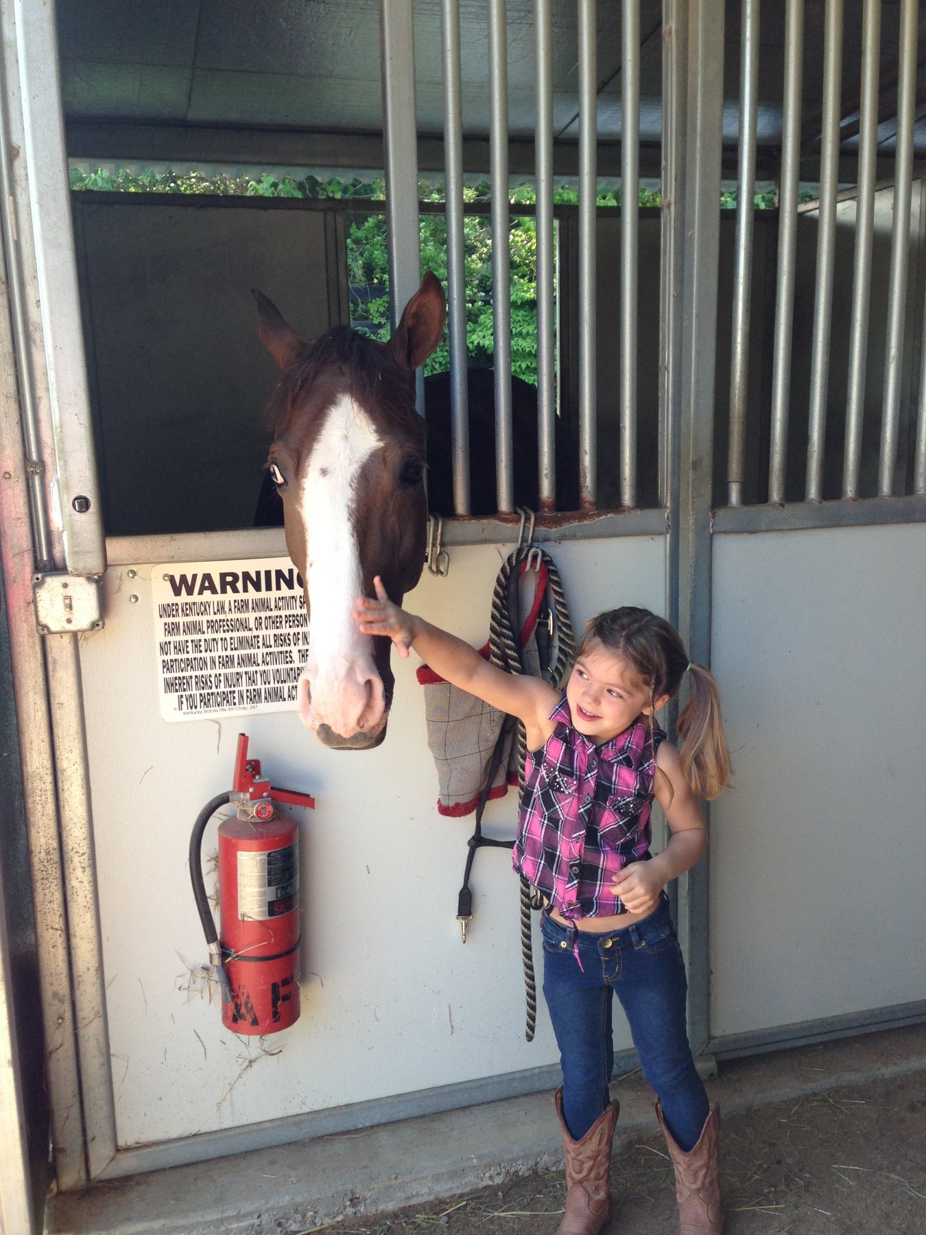 Little Rylee reaching up to greet a bay horse with a white blaze in its stall.