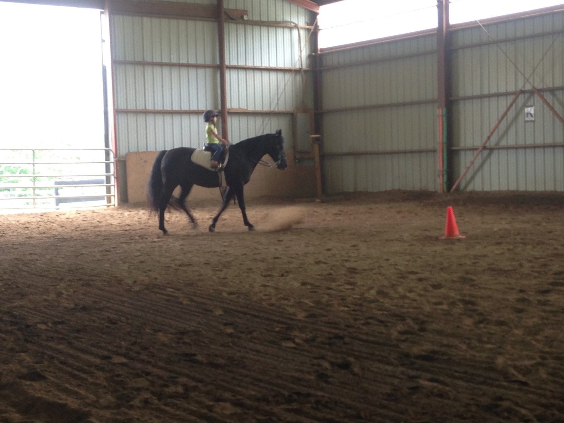 Rylee trotting the black horse through the arena dust at an early lesson.