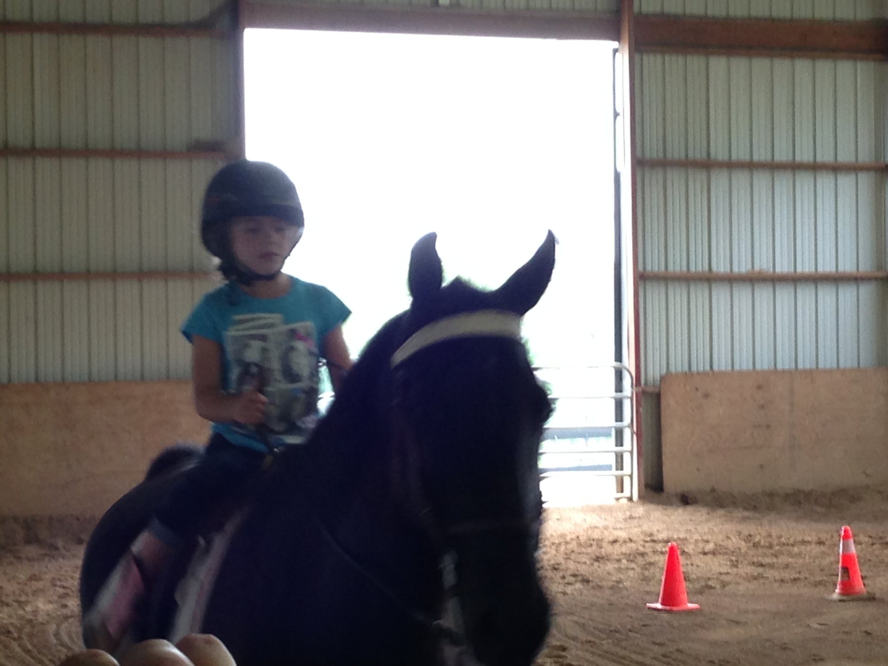 A head-on view of young Rylee riding Bella during an indoor lesson.