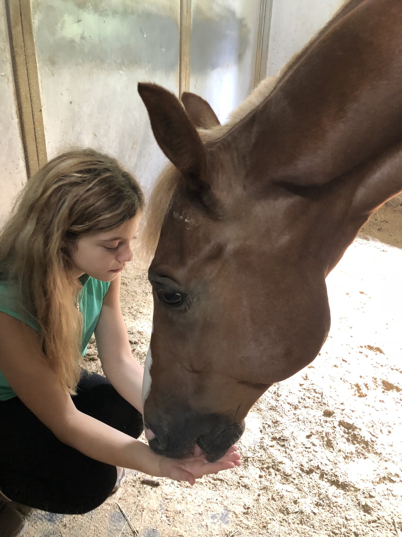 A tender muzzle-touch between Rylee and a chestnut in the barn aisle.