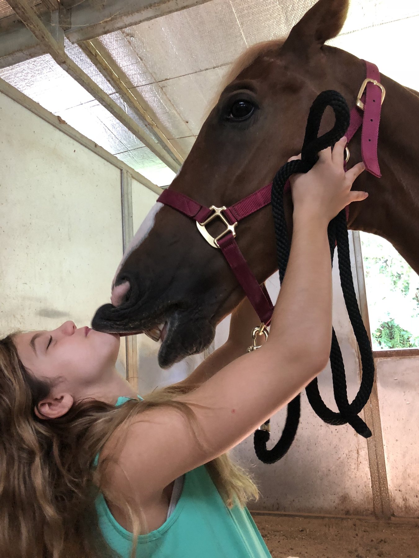 A nose-to-nose close-up of Rylee kissing a chestnut with a white snip.