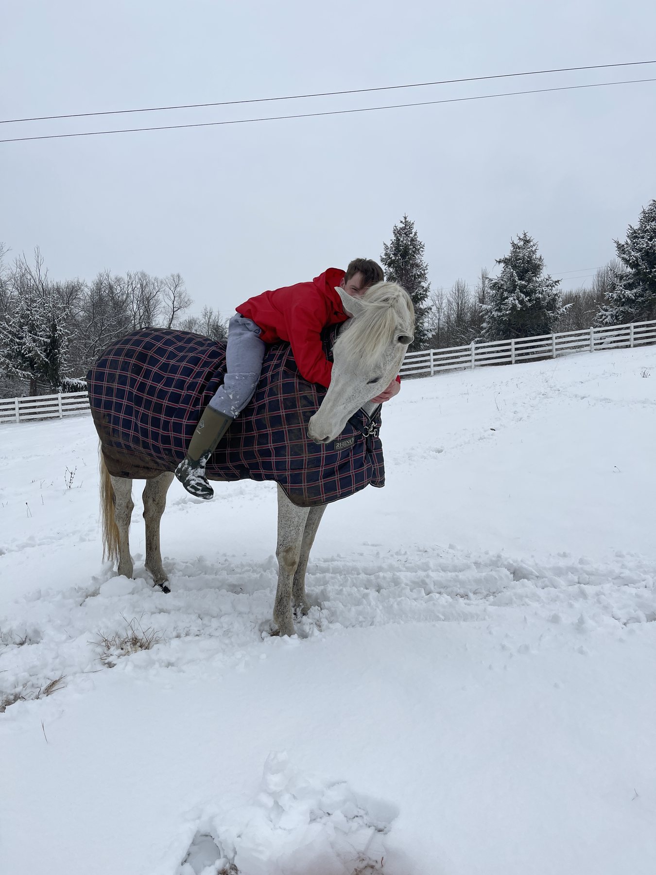 Kaleb hugging the gray horse's neck over its plaid blanket in the snow.