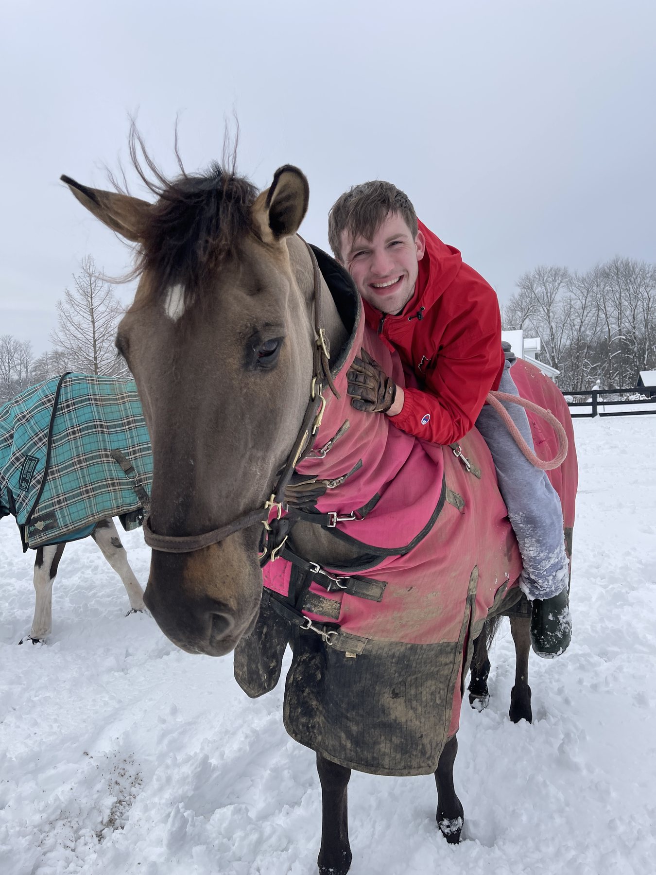 Kaleb grinning as he leans across the buckskin's pink-blanketed back.