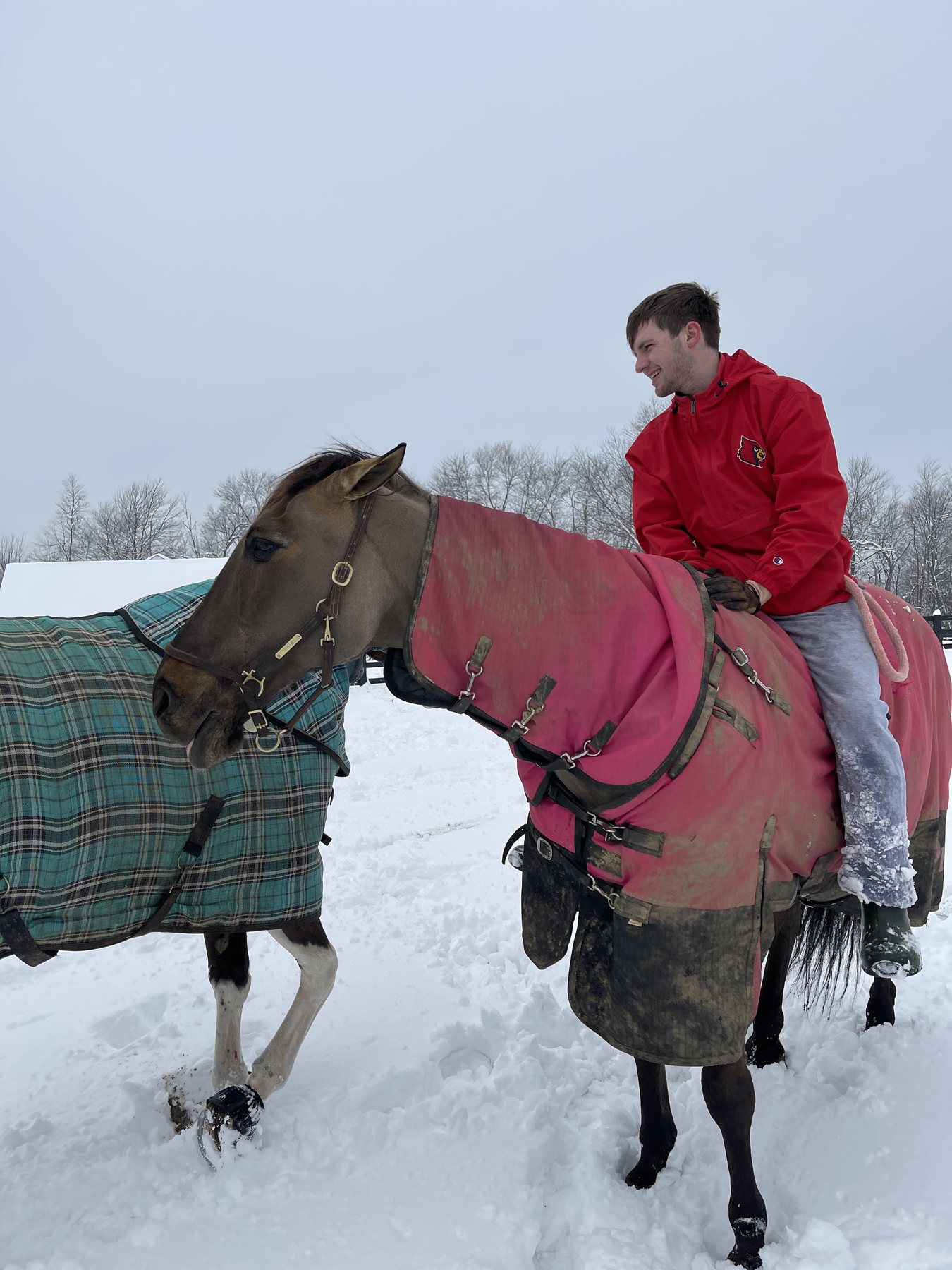 Kaleb astride the pink-blanketed buckskin, snow falling around them.