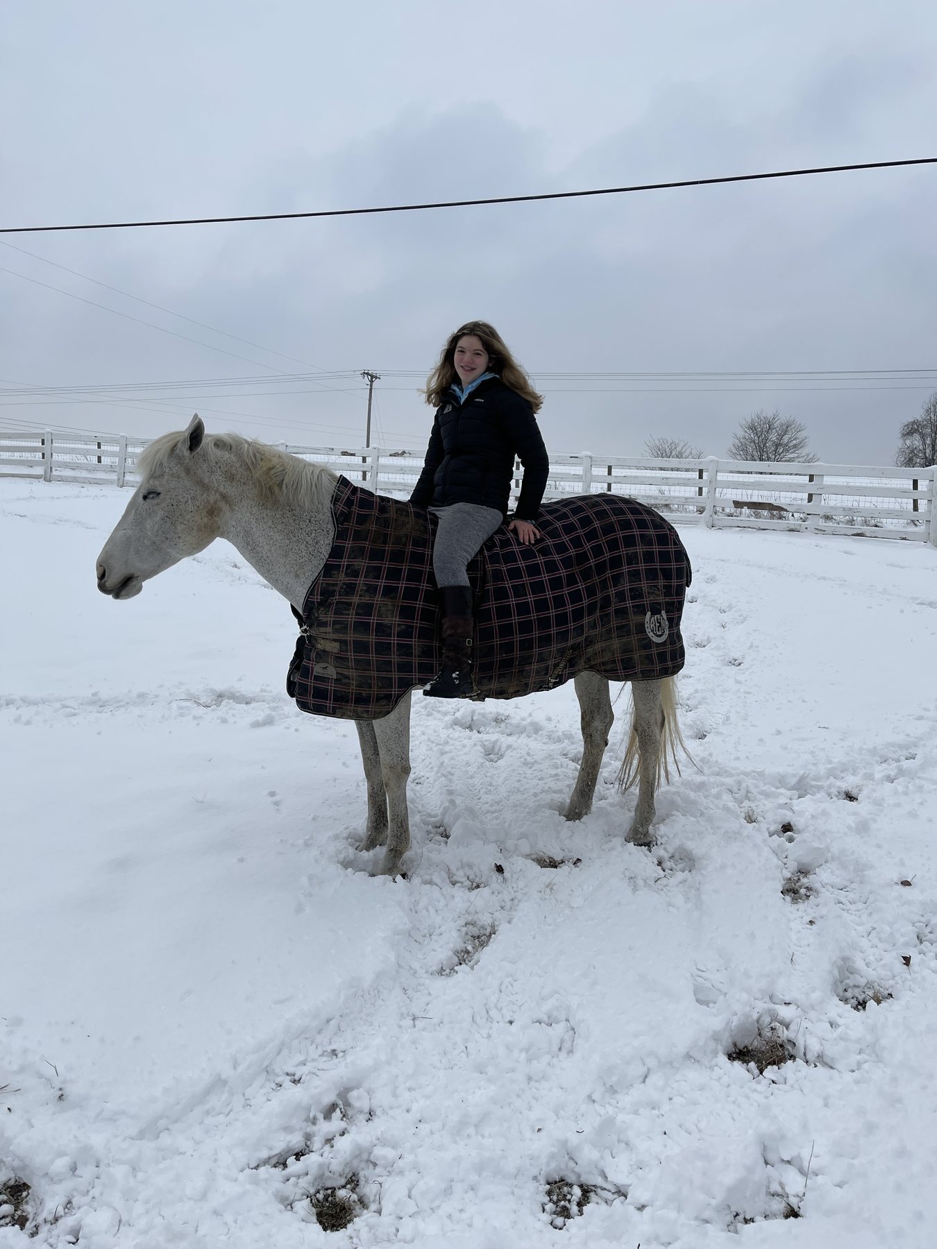 Rylee standing beside the blanketed gray in knee-deep snow.