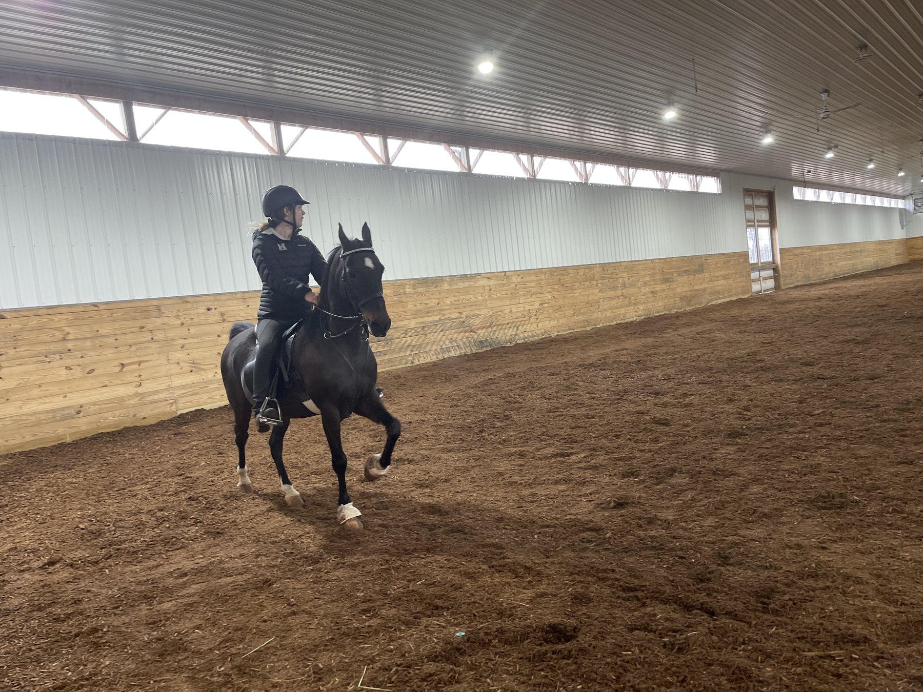 Rylee in profile at the trot on her black horse in a clean arena.