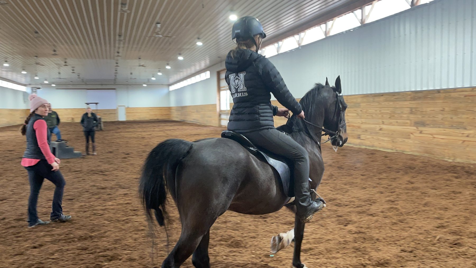 Rylee's black horse in full gaited action across the indoor arena.