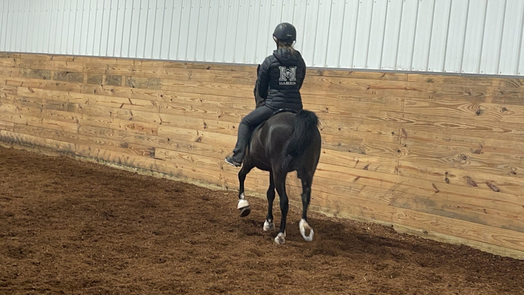 Rylee from behind, riding a tidy line down the indoor arena.