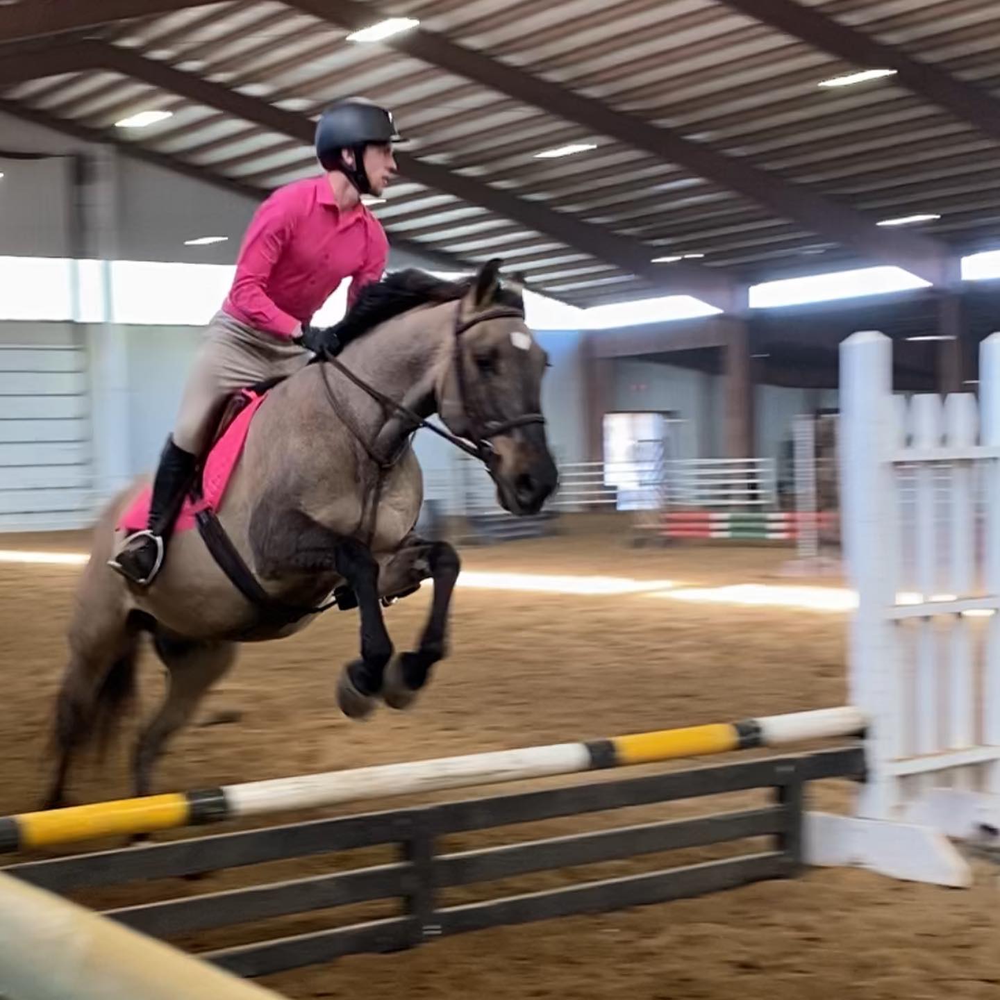 Kaleb jumping a buckskin over a yellow-and-white oxer indoors.