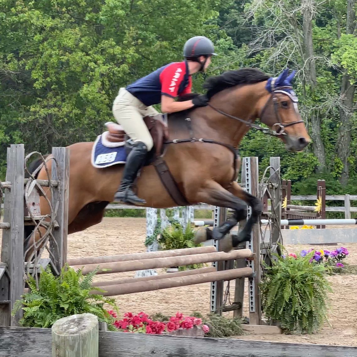 Kaleb schooling a bay in a blue ear bonnet over a rustic log oxer.