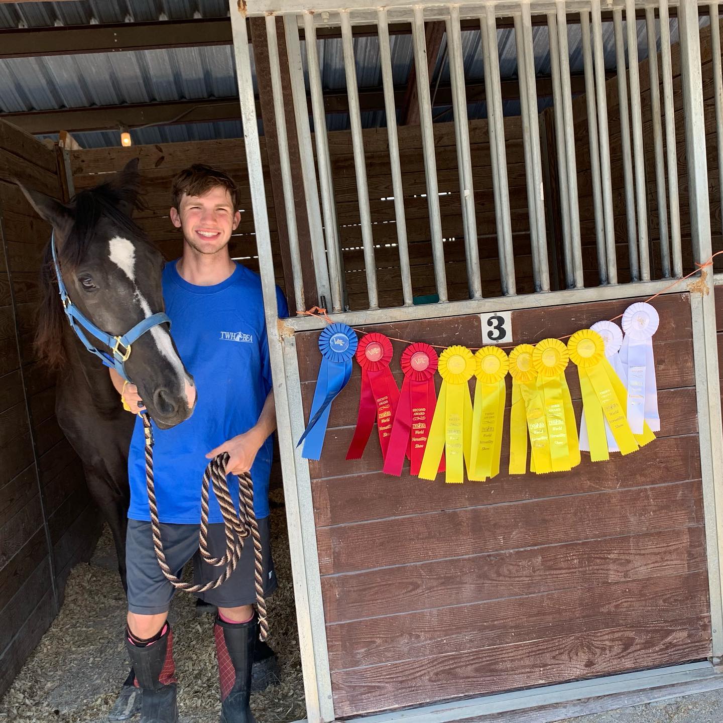Kaleb with a black horse and the ribbon banner at stall 3 of the World Versatility Show.