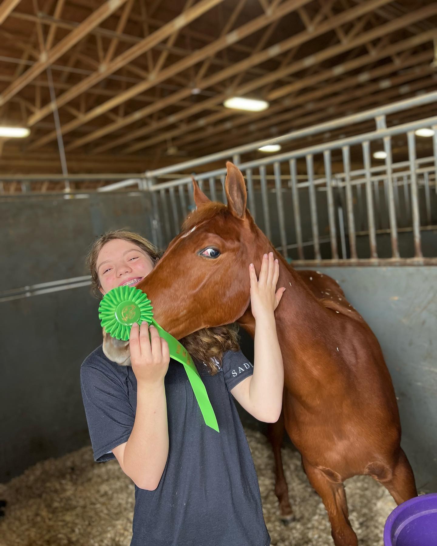 Rylee hugging a chestnut with a green 4-H rosette in the stall.