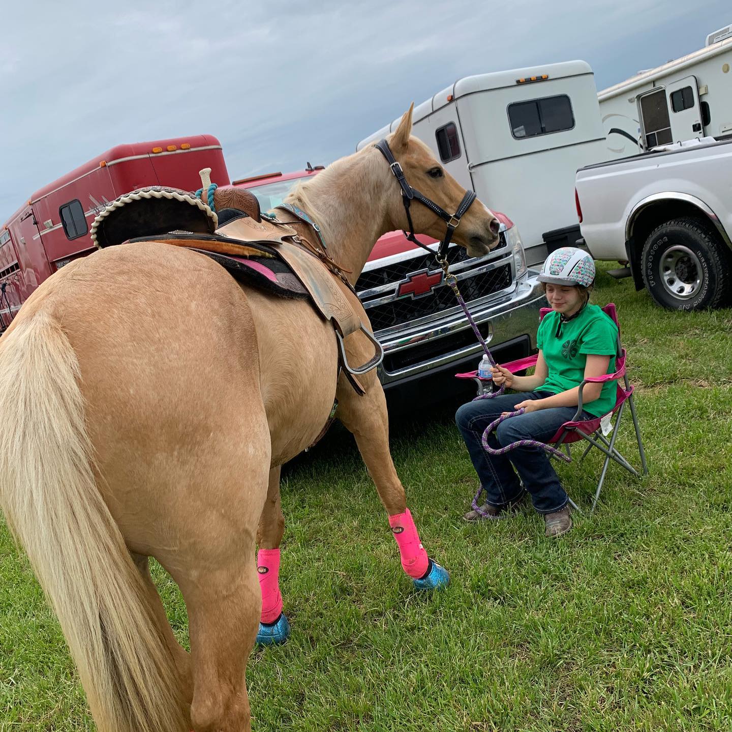 Rylee in a green 4-H shirt resting by the trailers holding a palomino with pink boots.
