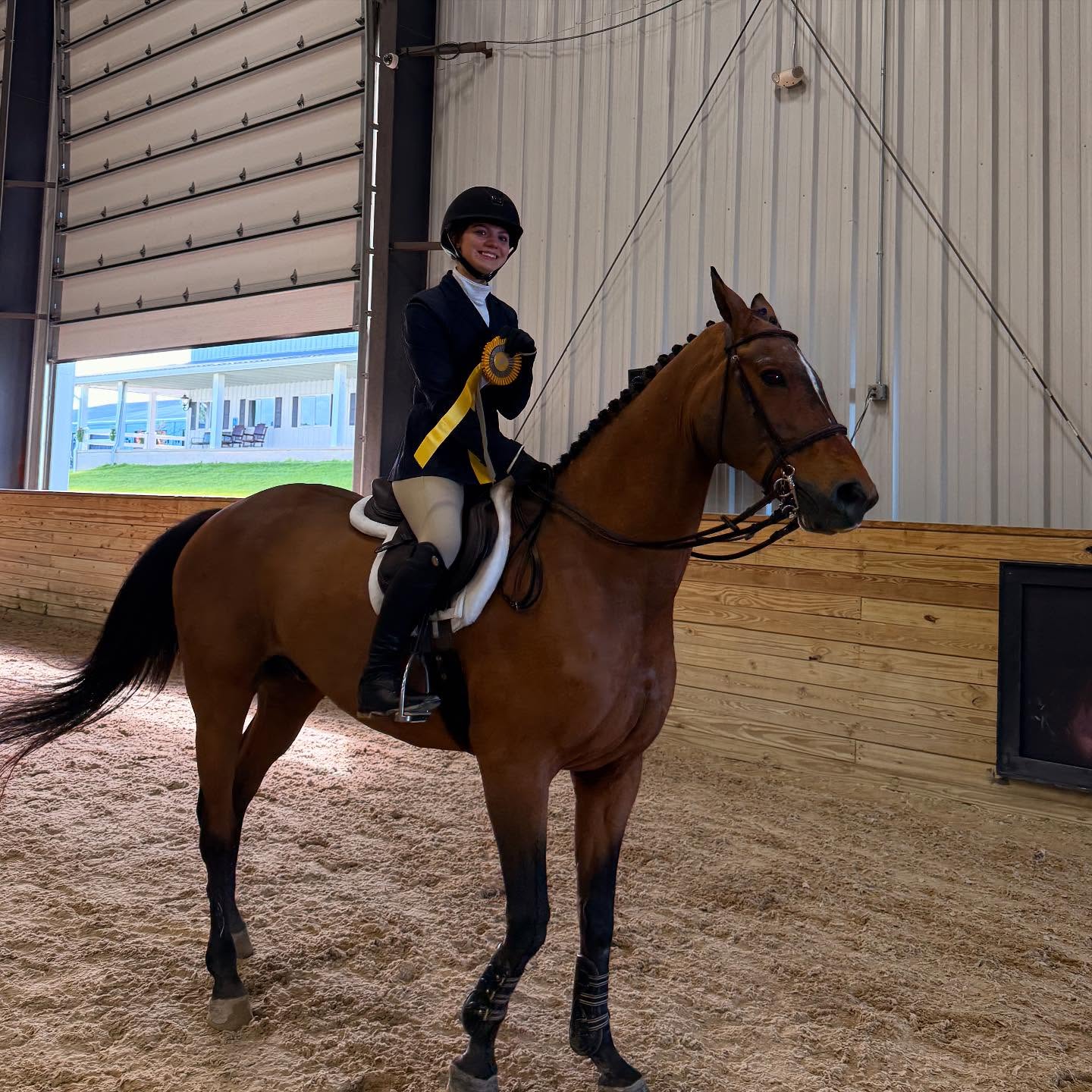 Rylee with a yellow ribbon beside a braided bay warmblood.