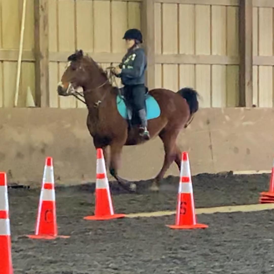 A young Rylee riding a bay pony with a teal pad through a cone lesson.