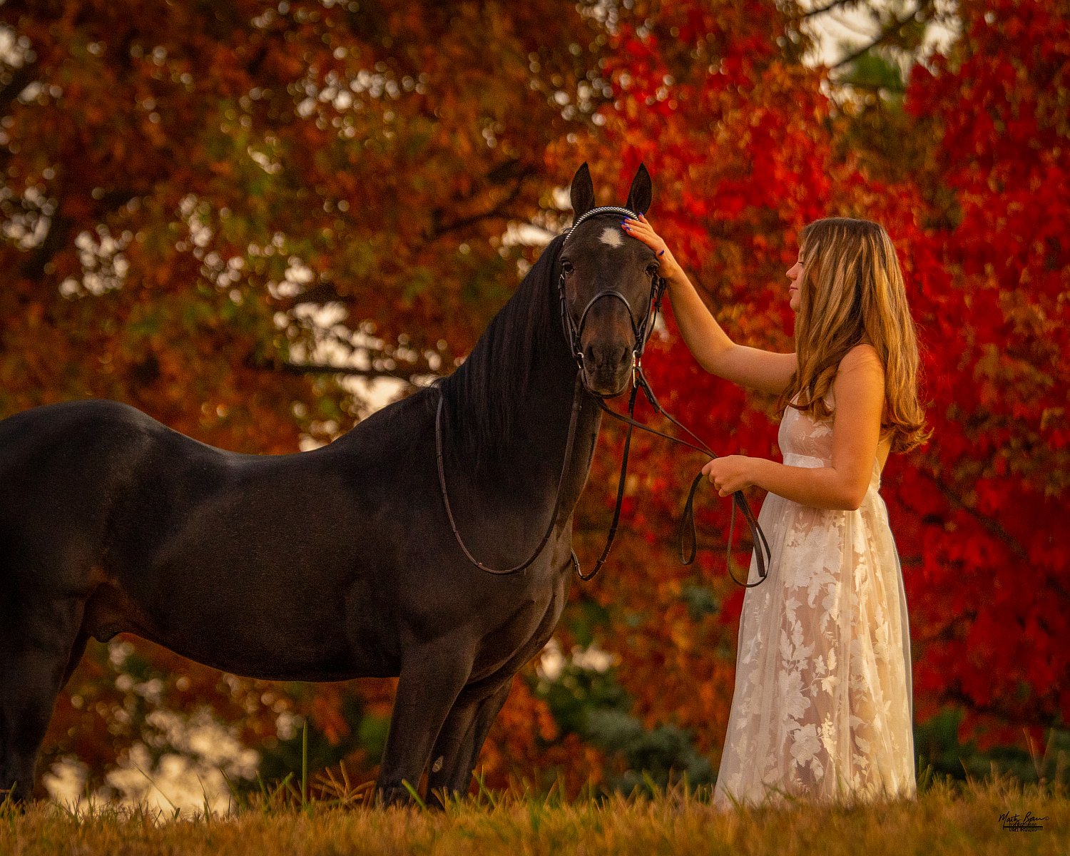 Rylee gallery image