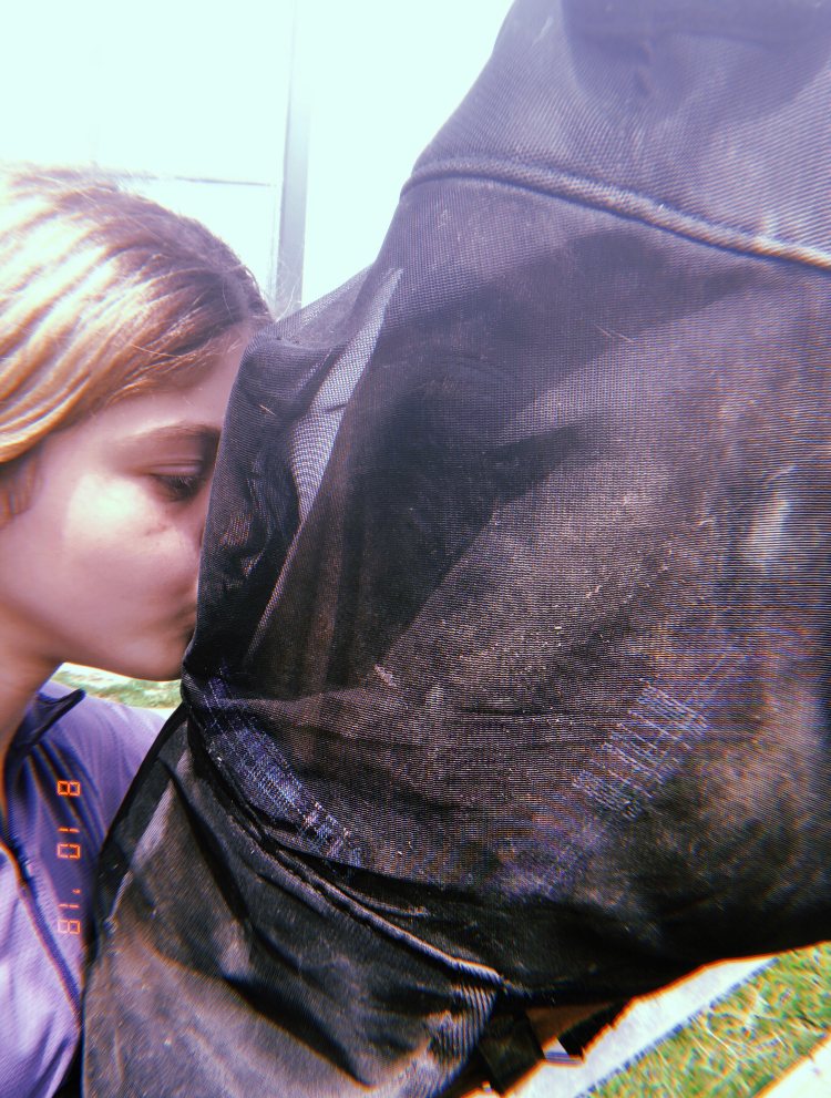 Rylee pressing a kiss to a horse wearing a fly sheet on a summer morning.