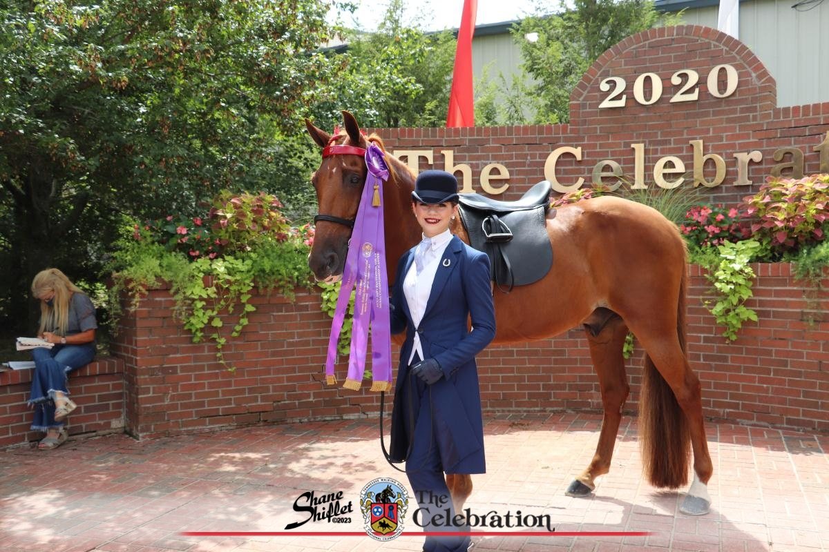 Rylee in a navy day coat beside a chestnut horse with her purple award ribbon at The Celebration.
