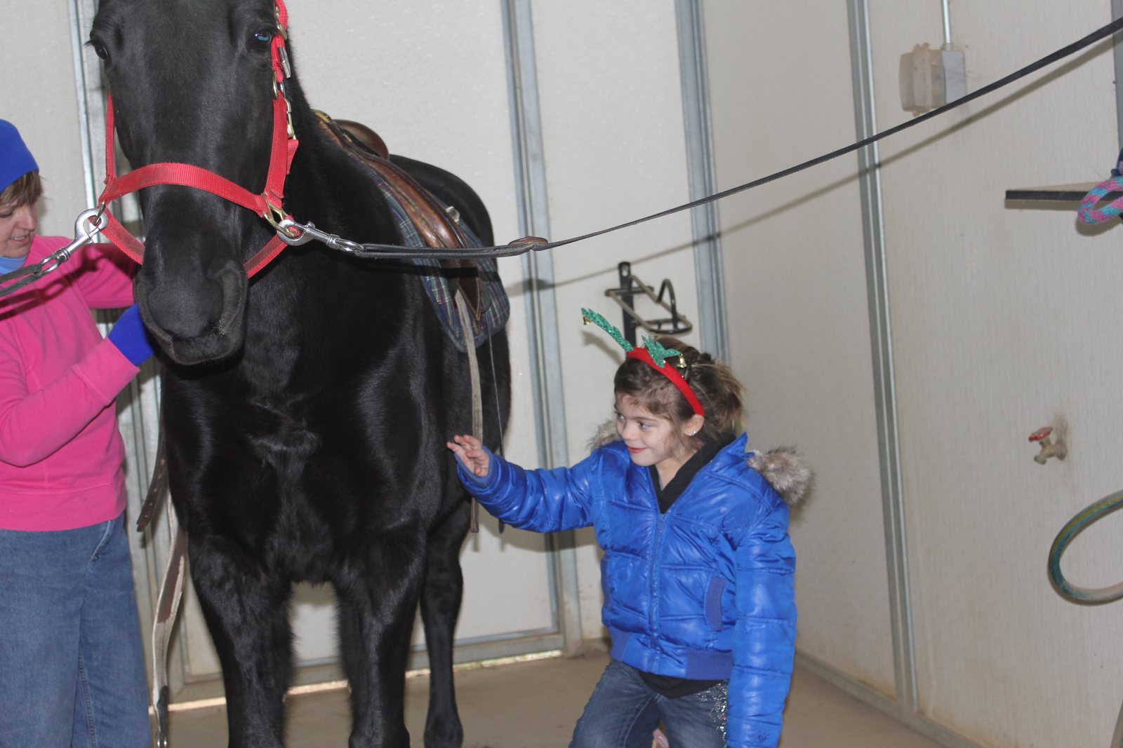 A young Rylee in a reindeer headband reaching up to a saddled black horse at a holiday barn visit.