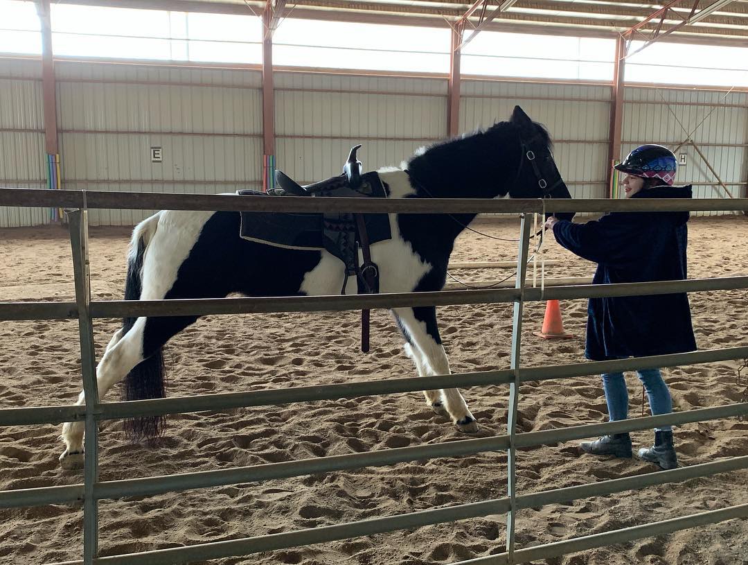 Rylee adjusting a western-saddled black-and-white pinto, framed through the gate rails.