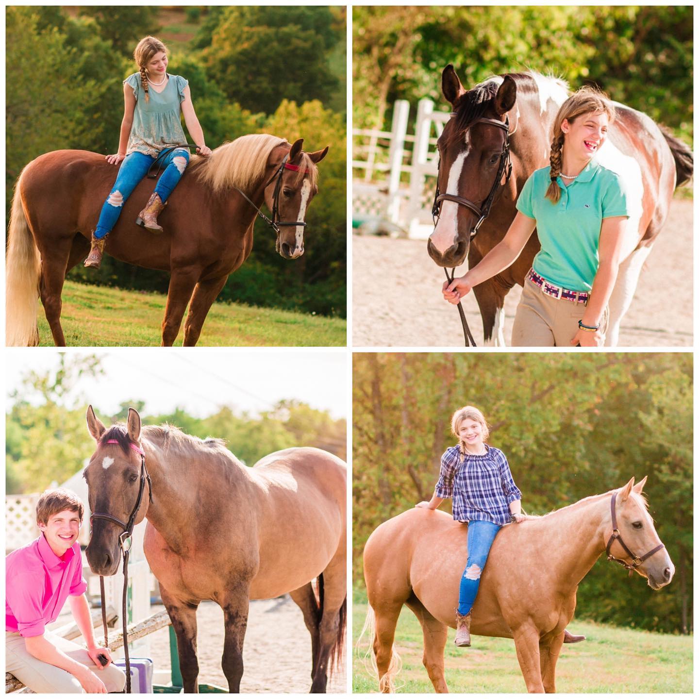 A golden-hour photoshoot collage of the barn kids with four horses.