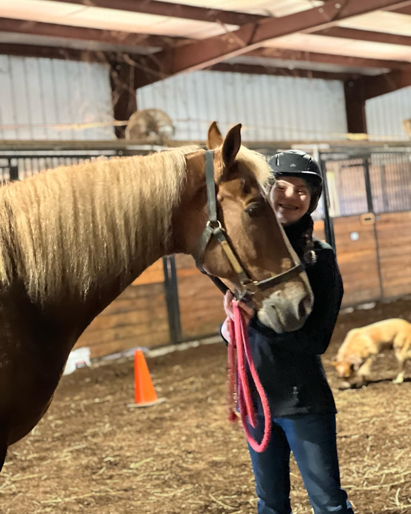 Rylee in her helmet with a flaxen chestnut at the night arena.