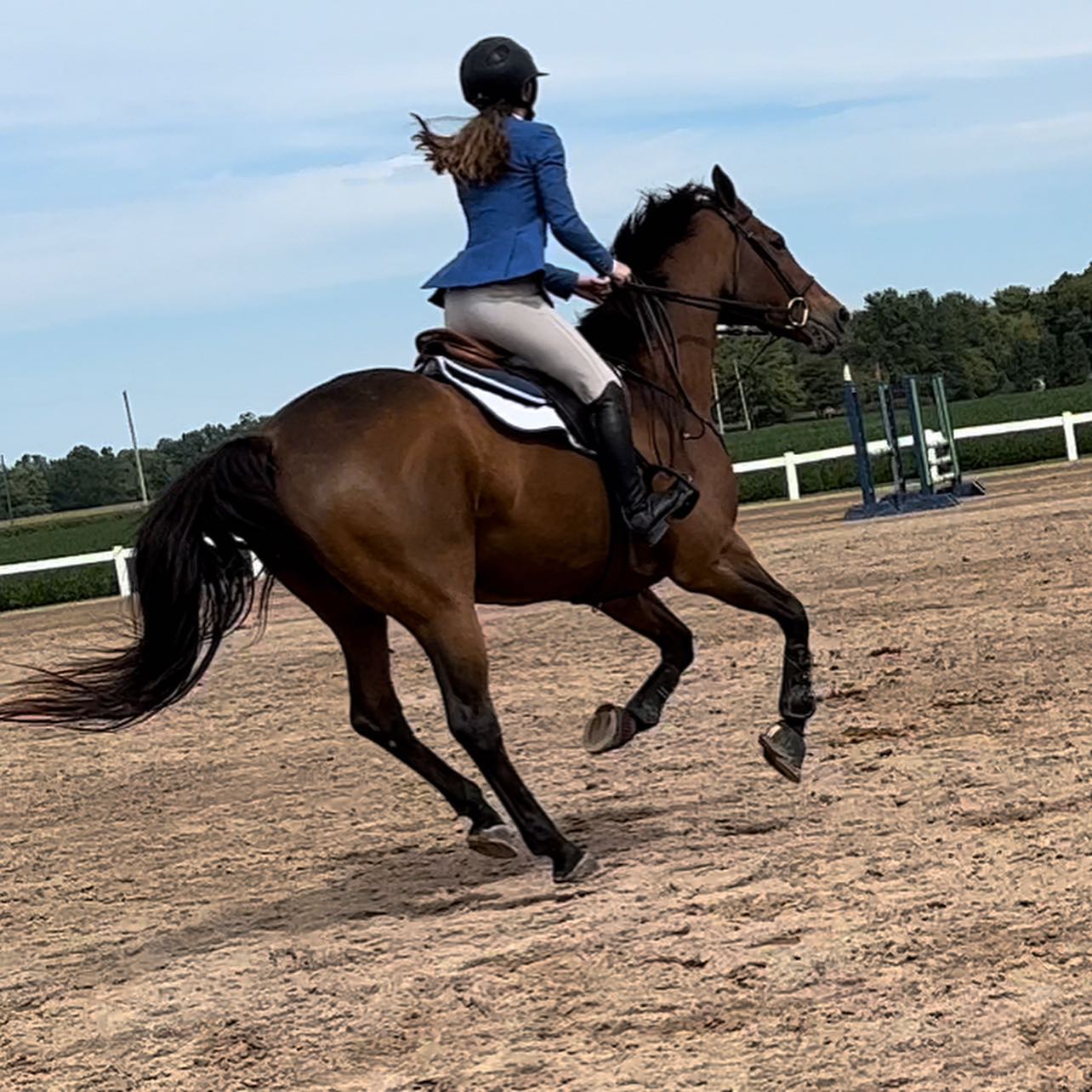 Rylee cantering a bay away from the camera in the outdoor jump ring.